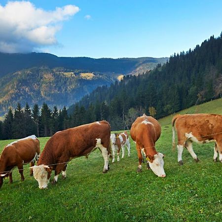 Vila Tourist Farm Kladje Ljubno Exteriér fotografie