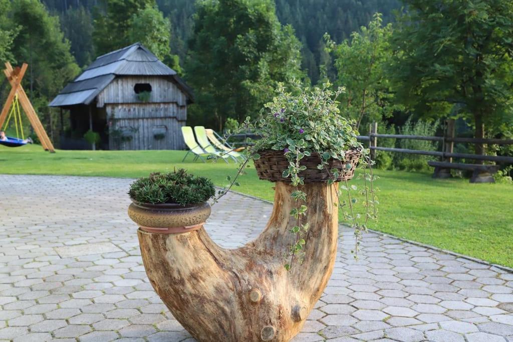 Vila Tourist Farm Kladje Ljubno Exteriér fotografie