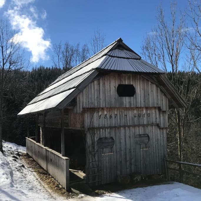 Vila Tourist Farm Kladje Ljubno Exteriér fotografie
