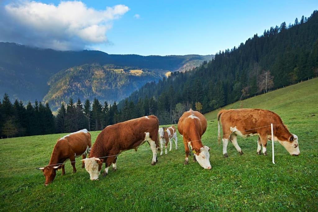 Vila Tourist Farm Kladje Ljubno Exteriér fotografie