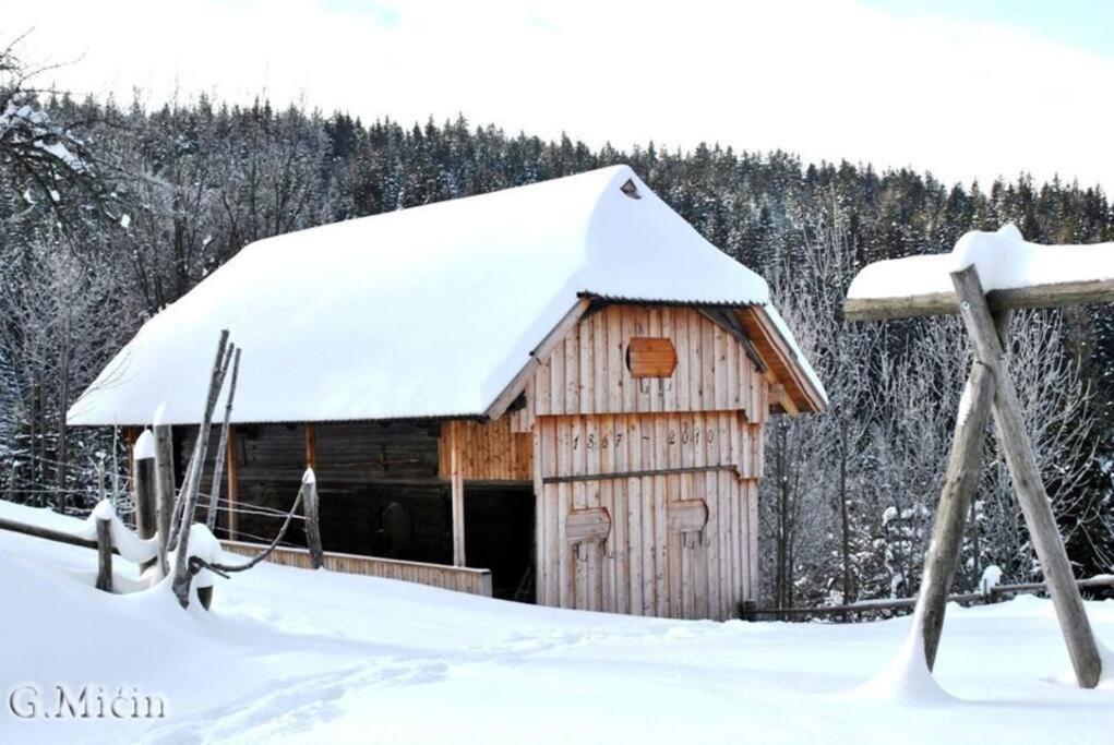 Vila Tourist Farm Kladje Ljubno Exteriér fotografie