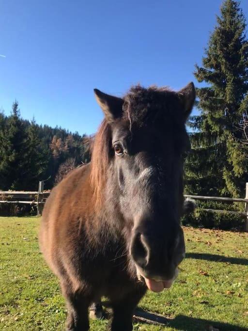 Vila Tourist Farm Kladje Ljubno Exteriér fotografie