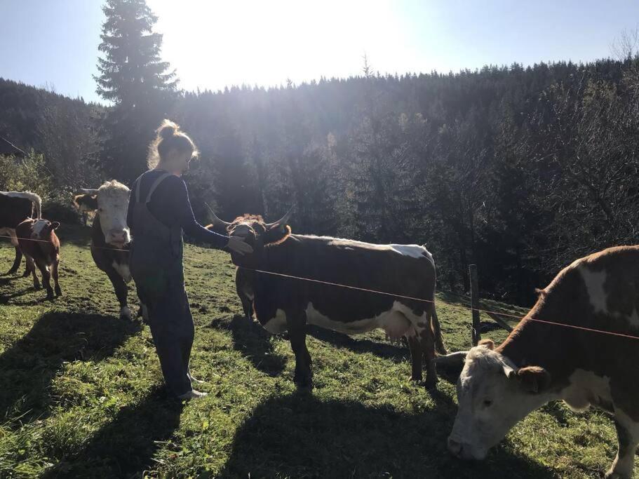 Vila Tourist Farm Kladje Ljubno Exteriér fotografie