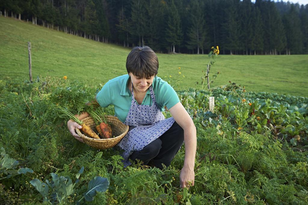 Vila Tourist Farm Kladje Ljubno Exteriér fotografie