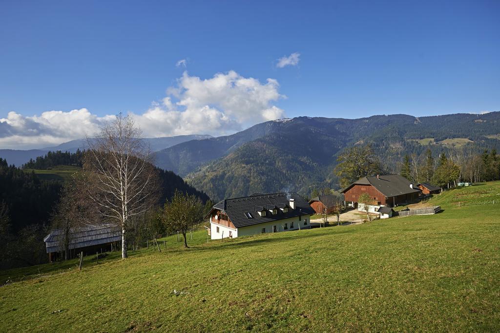 Vila Tourist Farm Kladje Ljubno Exteriér fotografie