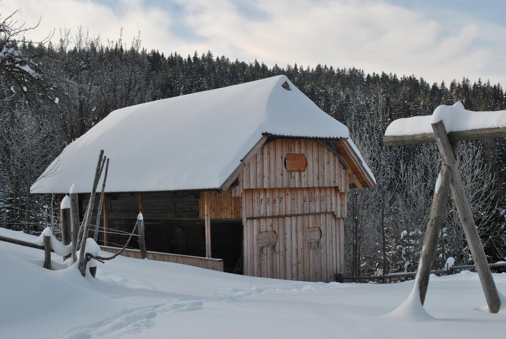 Vila Tourist Farm Kladje Ljubno Exteriér fotografie