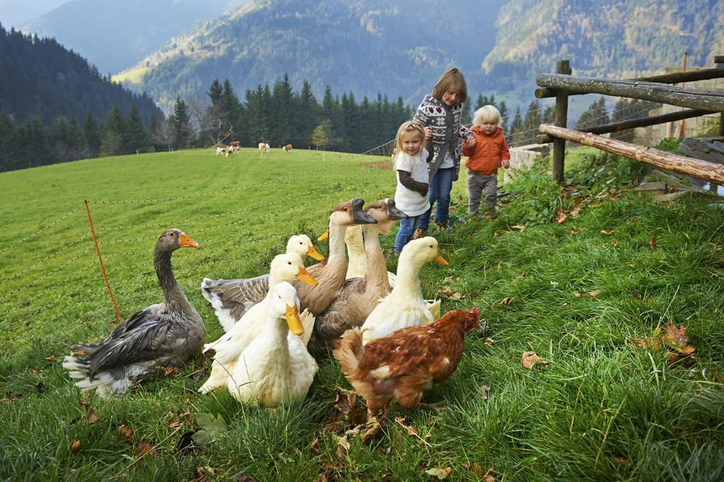Vila Tourist Farm Kladje Ljubno Exteriér fotografie